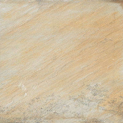 fossil