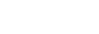 Ceramica rondine