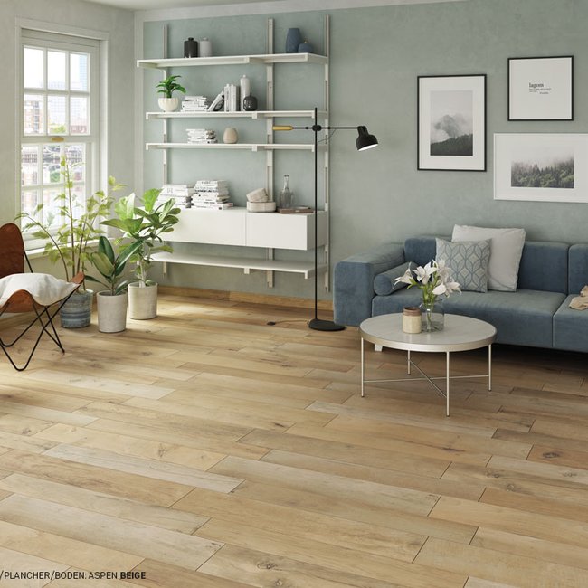 Brown Porcelain Stoneware Wall And Floor Tiles Ceramica