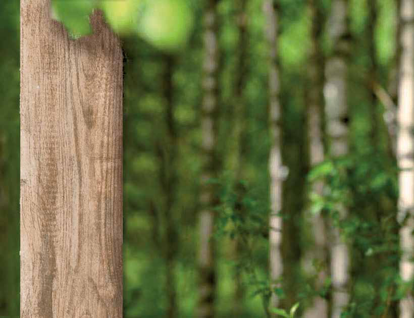 La Foresta di Gres: effetto legno naturale